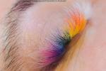 Rainbow Rave Lashes - Terraderma Nanaimo 2024