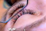 Fun Lash Color - Nanaimo - Terraderma 
