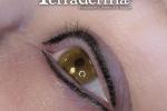 Permanent Eyeliner - Terraderma Nanaimo, BC, 2026