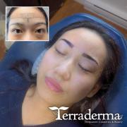Ombre Brows - Terraderma Permanent Makeup, Nanaimo BC, 2025